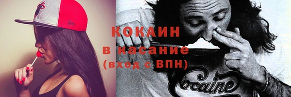 хмурый Осинники