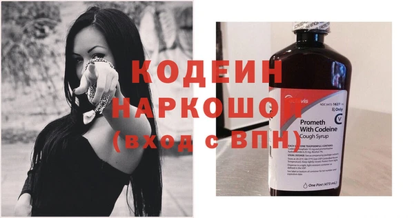 бошки Гатчина