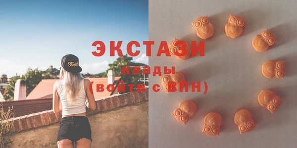 дмт Дмитровск