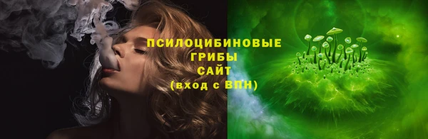хмурый Осинники