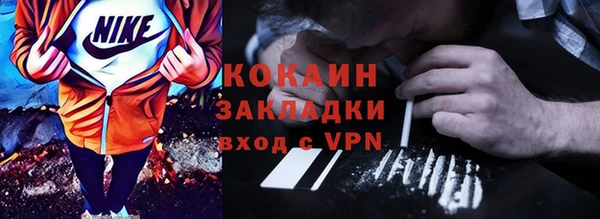 прущие грибы Галич